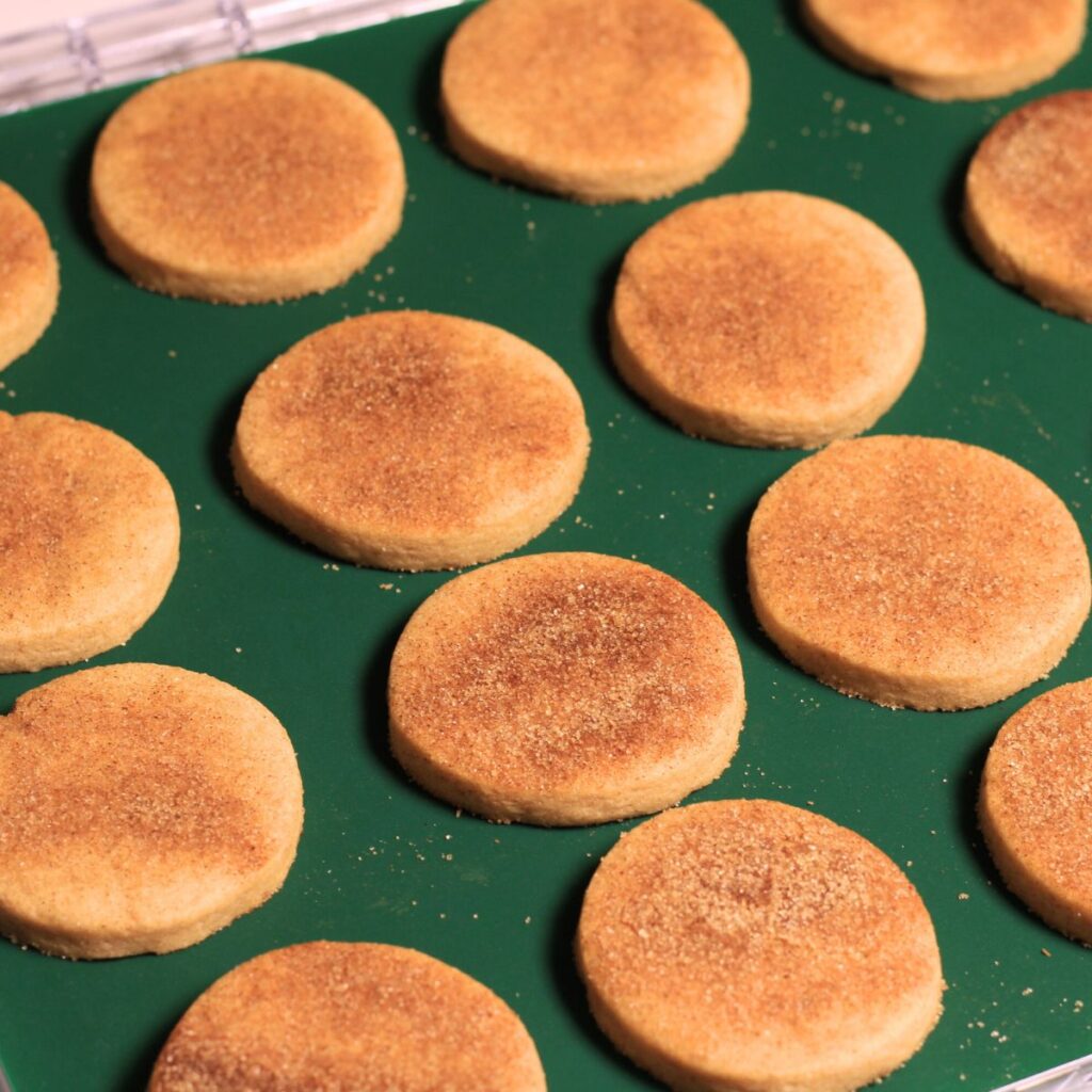 A tray of blank mini circle cookies.