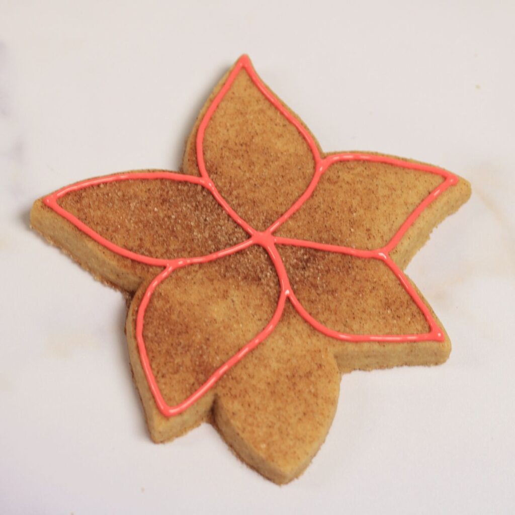 Poinsettia flower shaped cookie with five petals outlined in red icing.